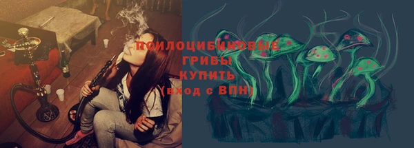 Альфа ПВП Кулебаки