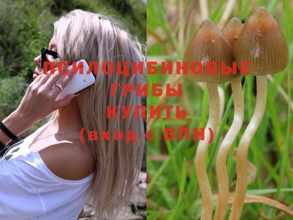 jwh Кукмор