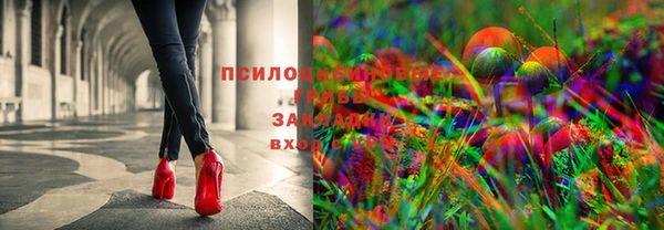Альфа ПВП Кулебаки