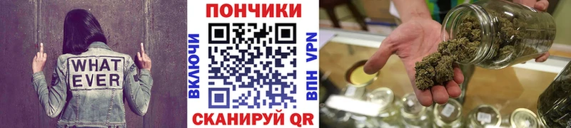 Конопля ГИДРОПОН  Купить  Новопавловск 